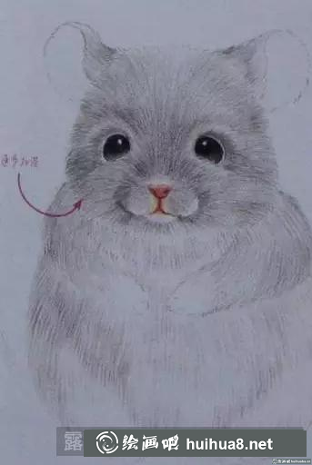 彩鉛畫龍貓