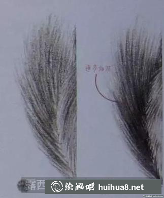 彩鉛畫龍貓