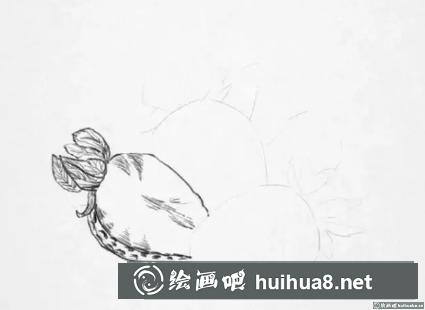 素描畫草莓