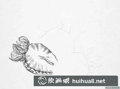 素描畫草莓