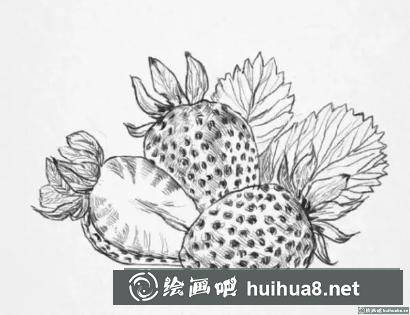 素描畫草莓