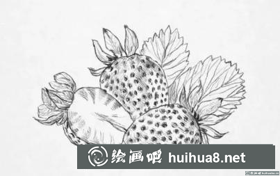 素描畫草莓