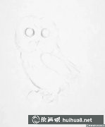 萌貓頭鷹素描畫欣賞