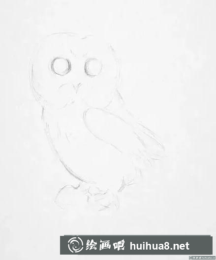 素描畫貓頭鷹