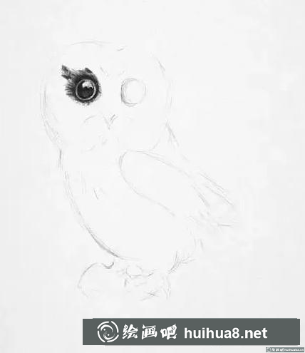 素描畫貓頭鷹