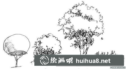 樹(shù)冠的畫(huà)法