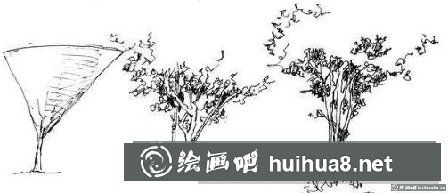 樹(shù)冠的畫(huà)法