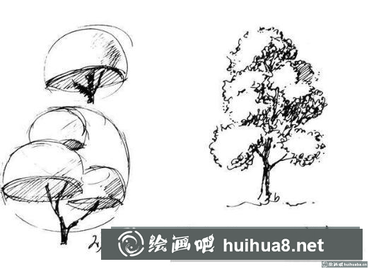 樹(shù)冠的畫(huà)法