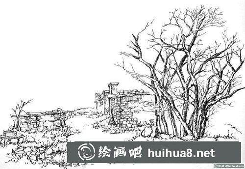 速寫樹(shù)的畫(huà)法