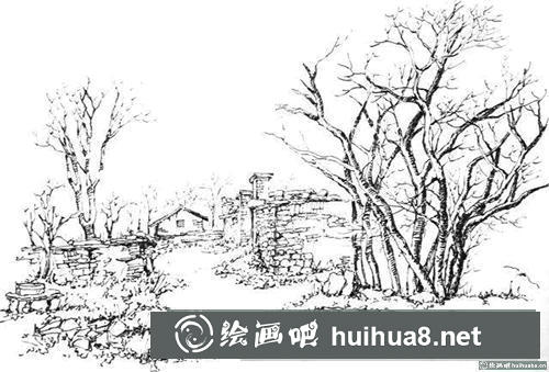 速寫樹(shù)的畫(huà)法