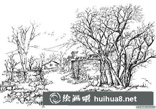 速寫樹(shù)的畫(huà)法