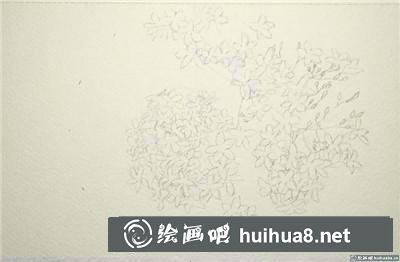 桃花水彩