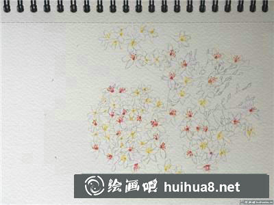 桃花水彩