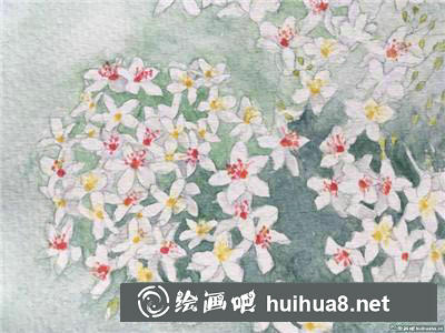 桃花水彩