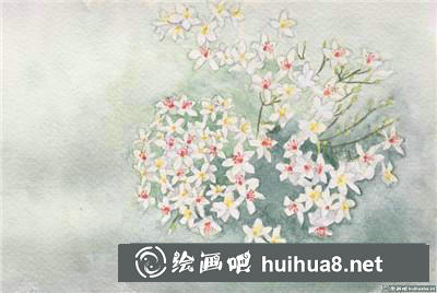 桃花水彩