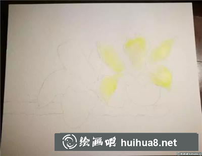 木棉花水彩