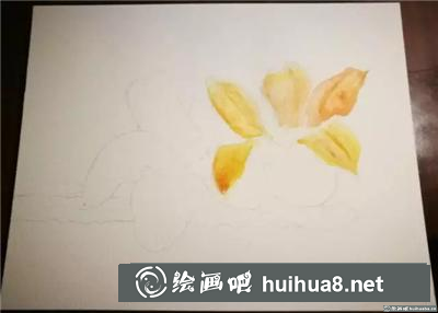 木棉花水彩
