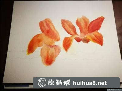 木棉花水彩