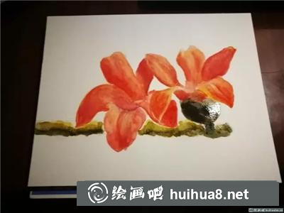 木棉花水彩
