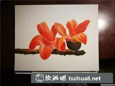 木棉花水彩