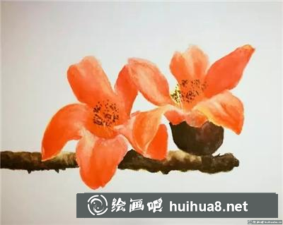木棉花水彩