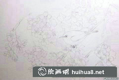 櫻花繡眼水彩畫教學(xué)攻略