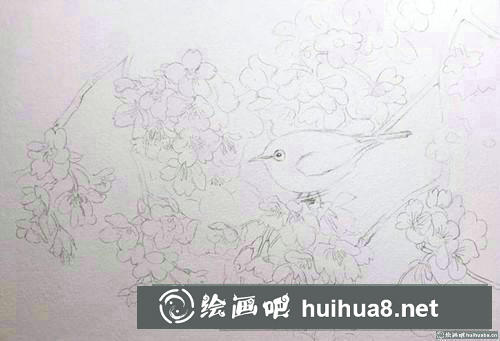 櫻花繡眼水彩畫