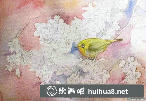 櫻花繡眼水彩畫