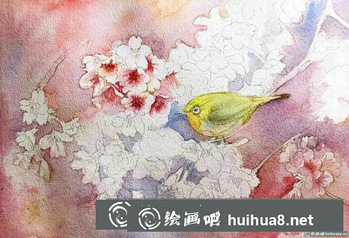 櫻花繡眼水彩畫