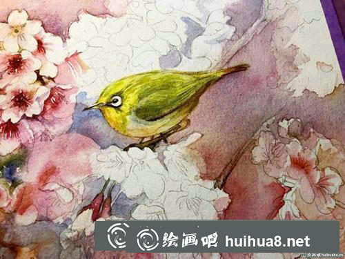 櫻花繡眼水彩畫