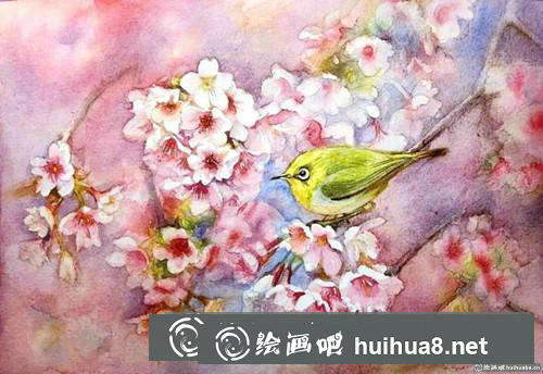 櫻花繡眼水彩畫