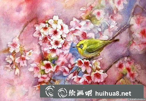 櫻花繡眼水彩畫