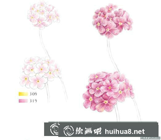 怎么畫點(diǎn)地梅
