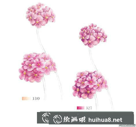 怎么畫點(diǎn)地梅