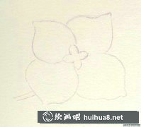 八仙花彩鉛畫教程分享