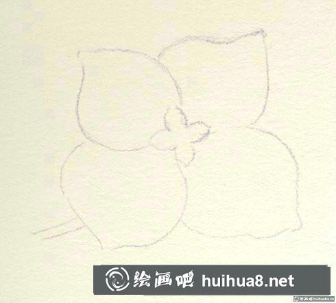 八仙花彩鉛畫
