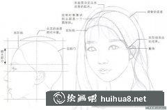 素描頭發(fā)畫法技巧解析