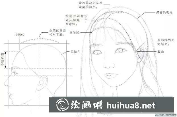 頭發(fā)結構