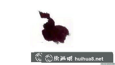 鸚鵡的畫法