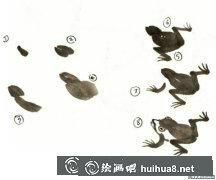 國(guó)畫教程青蛙繪畫技巧