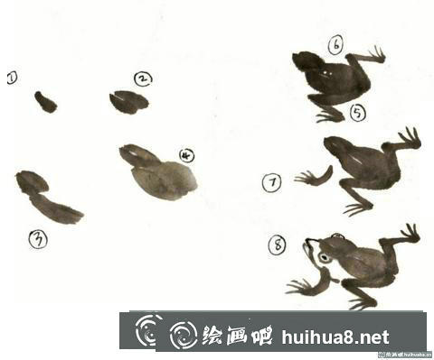 青蛙的畫法