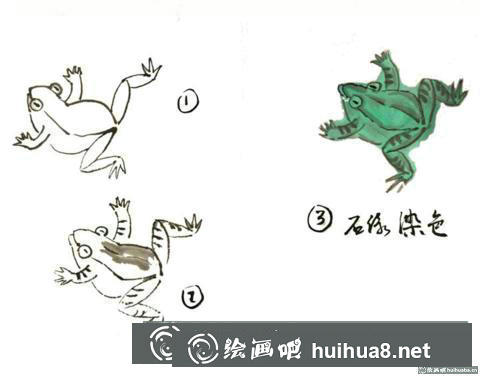 青蛙的畫法