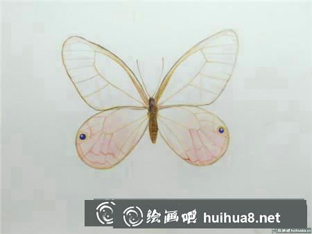 彩鉛畫教程