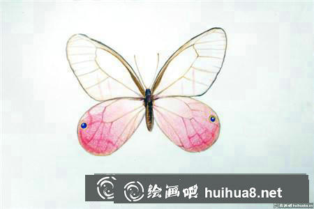 彩鉛畫教程
