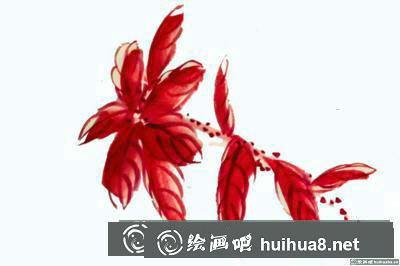 老來紅的畫法