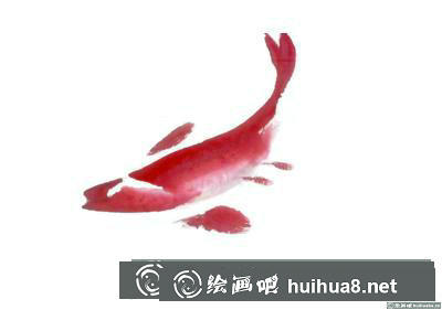 紅鯉魚的畫法