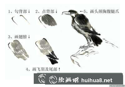 立鷹的畫(huà)法