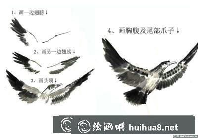 飛鷹的畫(huà)法