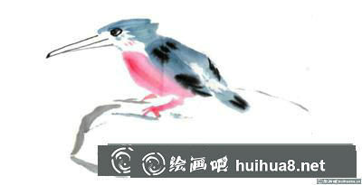 翠鳥的畫法
