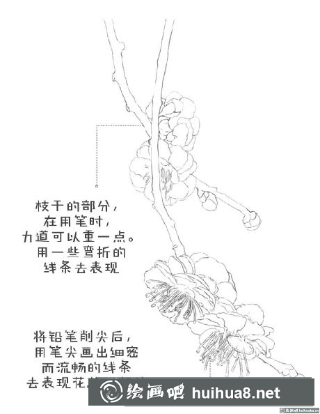 怎么畫梅花